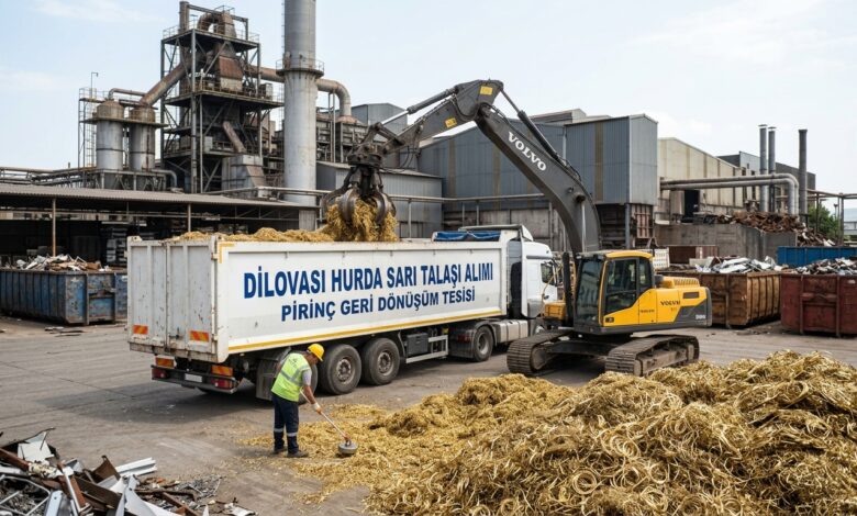 Dilovası hurda pirinç talaşı